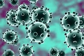 koronavirus stresi 2